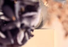 Livre : La peau dure, Vanessa Schneider