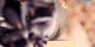 Rubrique. Le coin lecture d’Isa : La peau dure, de Vanessa Schneider Livre : La peau dure, Vanessa Schneider