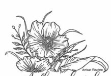 A Fleur de Sel Salins-les-Bains