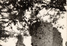 Rubrique. L’almanach de la semaine Journée mondiale des toilettes