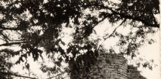 Rubrique. L’almanach de la semaine Journée mondiale des toilettes