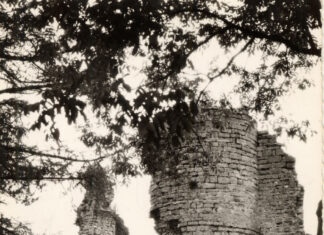 Journée mondiale des toilettes