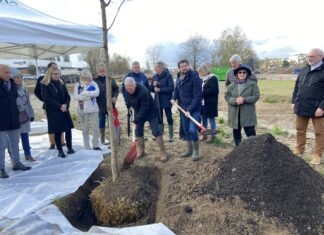 Dole. Le premier arbre du futur parc urbain est planté nouveau parc urbain Besançon