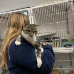 SPA Biarne/Dole – 24/11/25