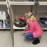 SPA Biarne/Dole – 24/11/25