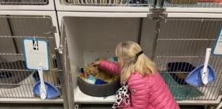 Biarne. Un week-end pour découvrir le refuge de la SPA de Dole