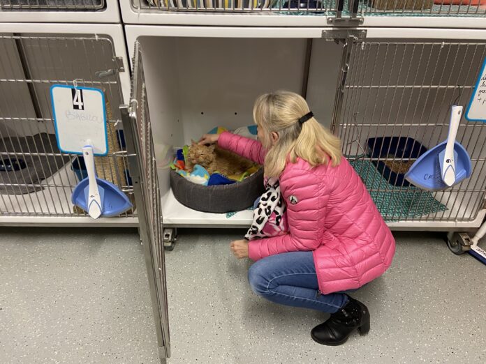 SPA Biarne/Dole - 24/11/25