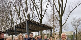 don d'organes dole ginkgo biloba