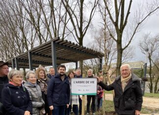 don d'organes dole ginkgo biloba