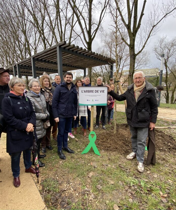 don d'organes dole ginkgo biloba don d'organes dole ginkgo biloba