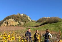 patrimoine culinaire Jura