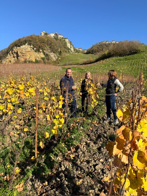patrimoine culinaire Jura patrimoine culinaire Jura