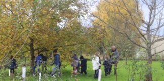 Saint-Hymetière-sur-Valouse. Les enfants de L’Escapade à la découverte des Croqueurs de pommes Animation enfants Saint-Hymetière