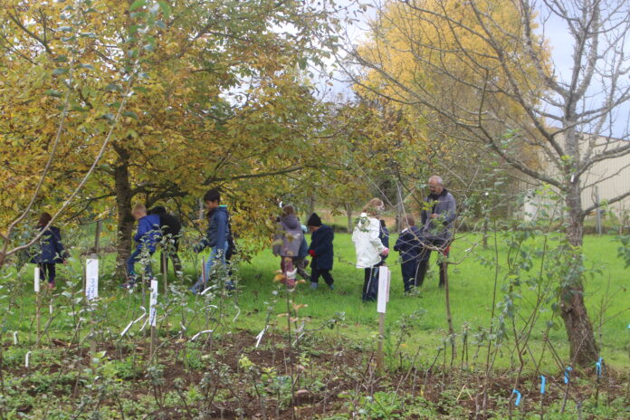 Animation enfants Saint-Hymetière