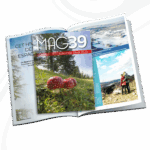 Mockup-Mag-site Internet