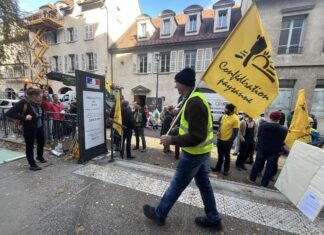 Lons-le-Saunier. Un rassemblement contre la politique sanitaire de la DNC Confédération paysanne du Jura