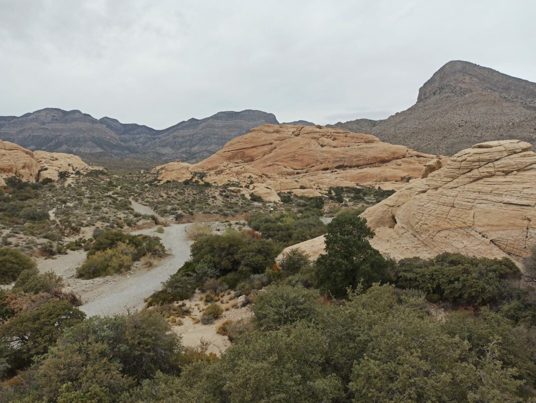 Voyage aux États-Unis