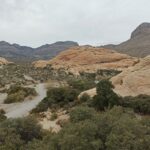 Voyage aux États-Unis