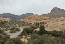 Voyage aux États-Unis