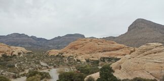 Voyage aux États-Unis