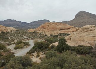 Voyage aux États-Unis