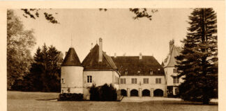 Astuces pour se remettre des fêtes