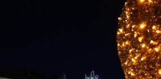 Oyonnax. Les illuminations sont lancées illuminations noël oyonnax