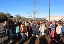 Arinthod. L’école célèbre la laïcité autour de son arbre républicain Arinthod valeurs de la république