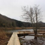 Environ 300m de cheminement à découvrir