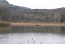 Petite Montagne. Lac de Viremont : une métamorphose au service de la nature et de l’accessibilité