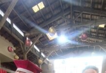 concours volailles de Bresse