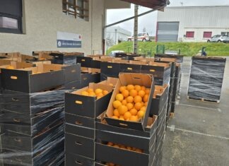 Orange Croix Rouge Lons le Saunier