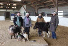 Mountain Trail Saillenard