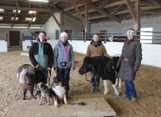 Mountain Trail Saillenard