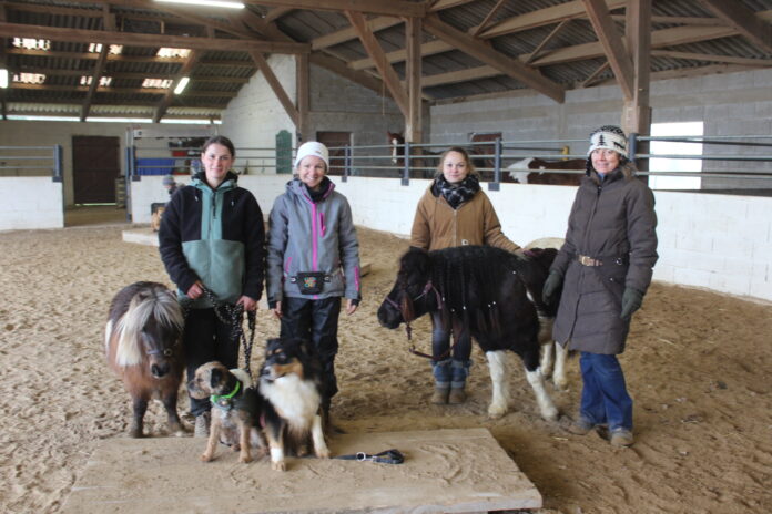 Mountain Trail Saillenard Mountain Trail Saillenard