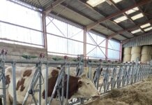 DNC Jura élevage Écleux