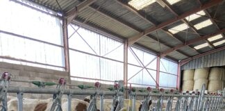 Jura. Après la DNC, le temps du repeuplement à Écleux DNC Jura élevage Écleux