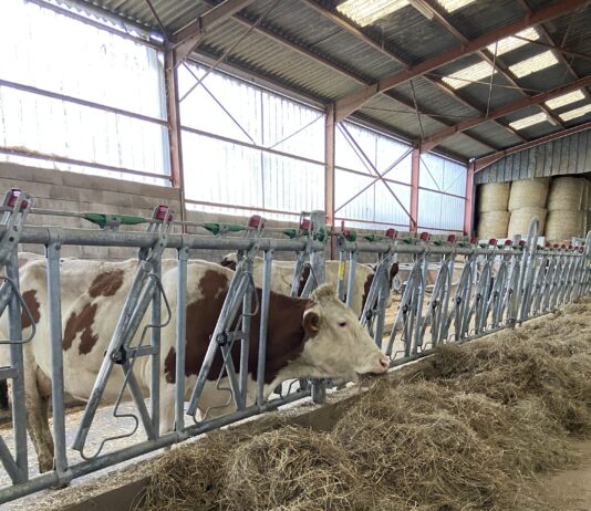 DNC Jura élevage Écleux