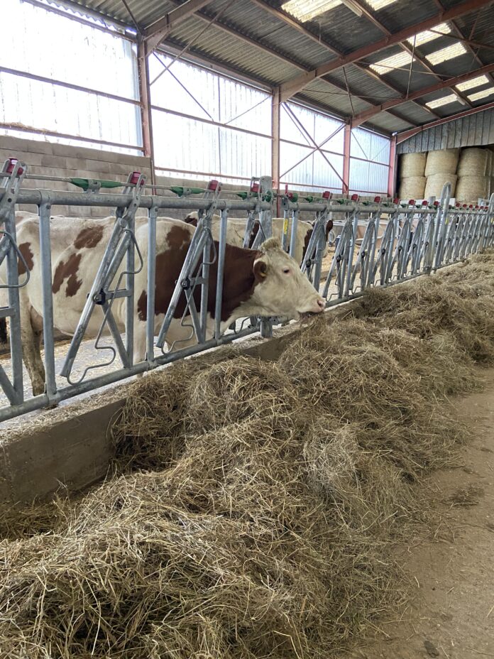 DNC Jura élevage Écleux