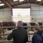 Repeuplement des espèces après DNC à Écleux – 20/01/26