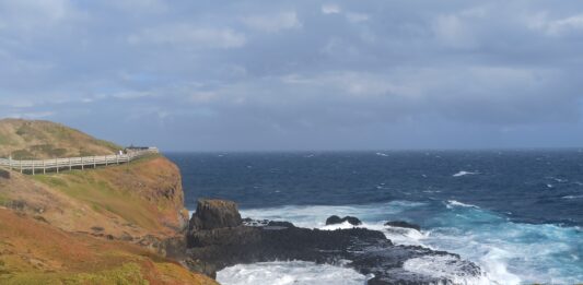 Rubrique. Au fil des voyages : La bêtise a-t-elle des limites ? Manchots Phillip Island