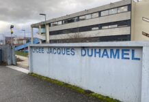 Safer Internet Day Dole