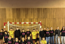 Handball collège Rouget Lisle