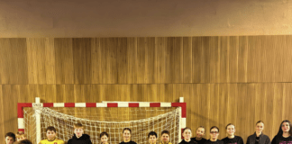 Handball collège Rouget Lisle