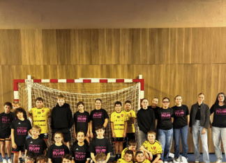 Handball collège Rouget Lisle