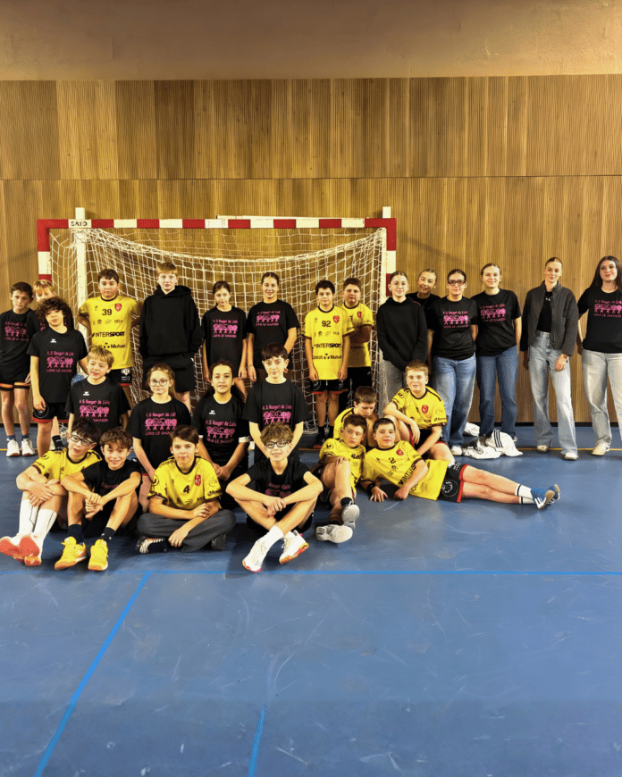 Handball collège Rouget Lisle Handball collège Rouget Lisle