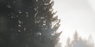 Trace des Maquisards Ain