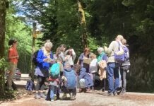 Saint-Lupicin. Le CPIE renouvelle son bureau et prépare ses projets pour 2026 CPIE Saint-Lupicin activités 2026