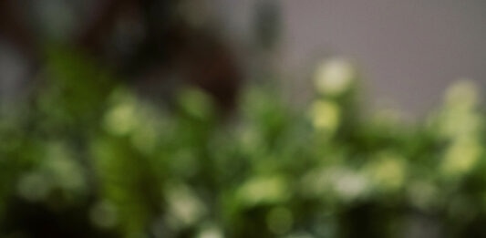 Rubrique. Grands mots, grands remèdes : Allo ? interdiction du téléphone au lycée