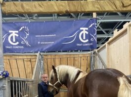 chevaux comtois Salon agriculture